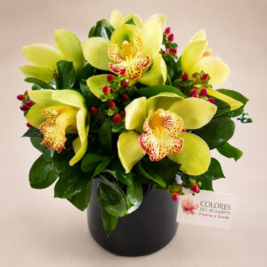 Te Amo Mamá — Orquídeas