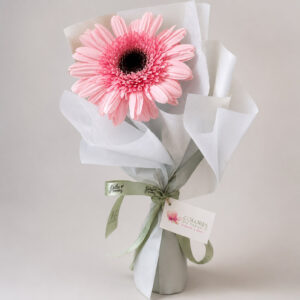 Gerbera Individual